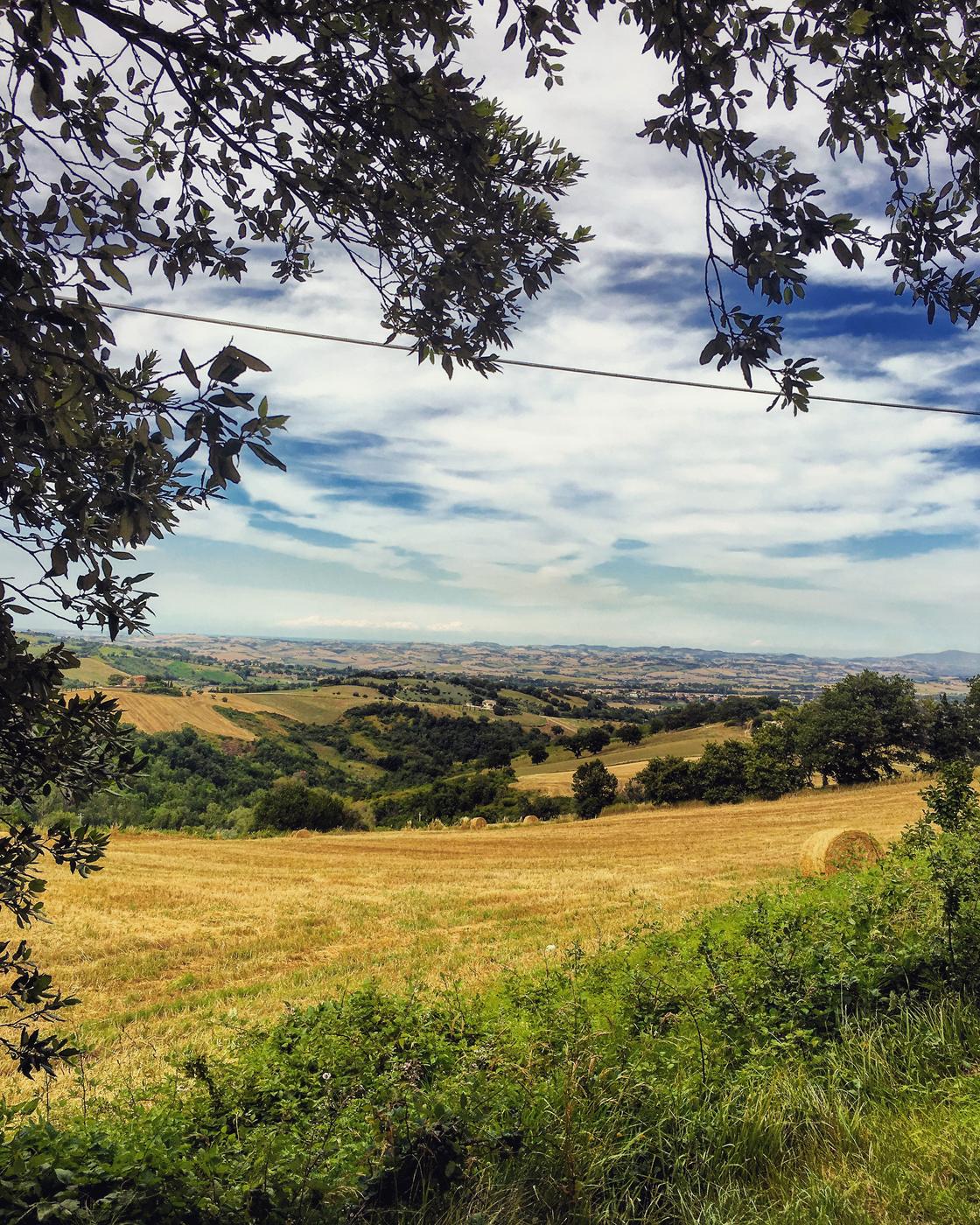 Vista panoramica delle colline marchigiane