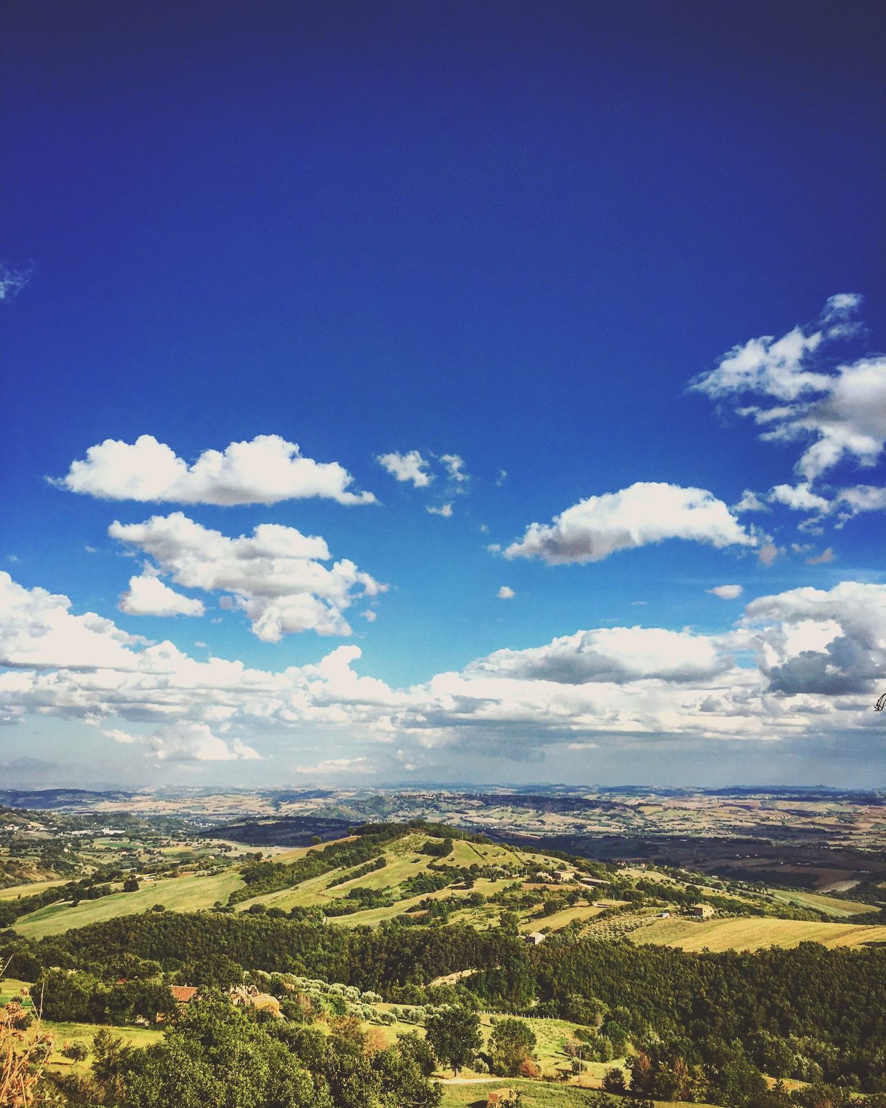 Hillside landscape in the Marche